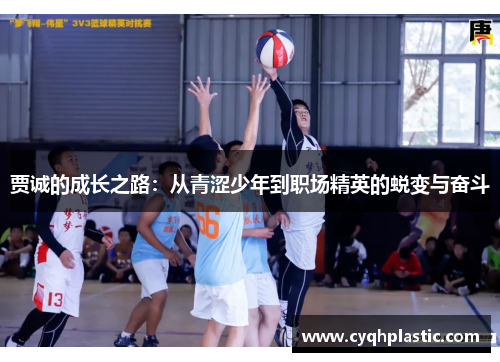 贾诚的成长之路：从青涩少年到职场精英的蜕变与奋斗