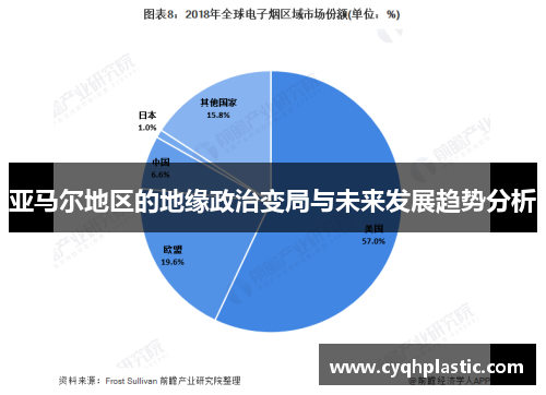 亚马尔地区的地缘政治变局与未来发展趋势分析