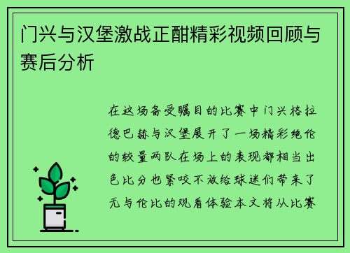 门兴与汉堡激战正酣精彩视频回顾与赛后分析